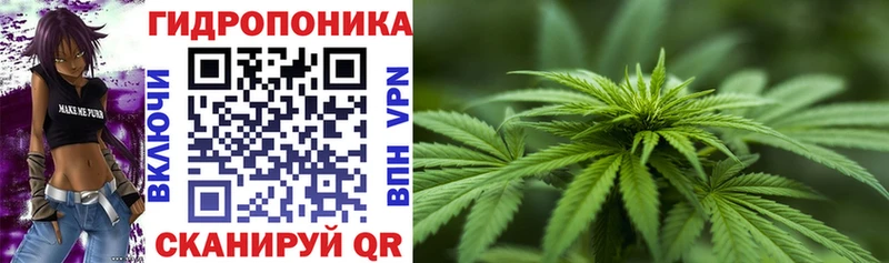 Купить  Шлиссельбург  Каннабис индика 